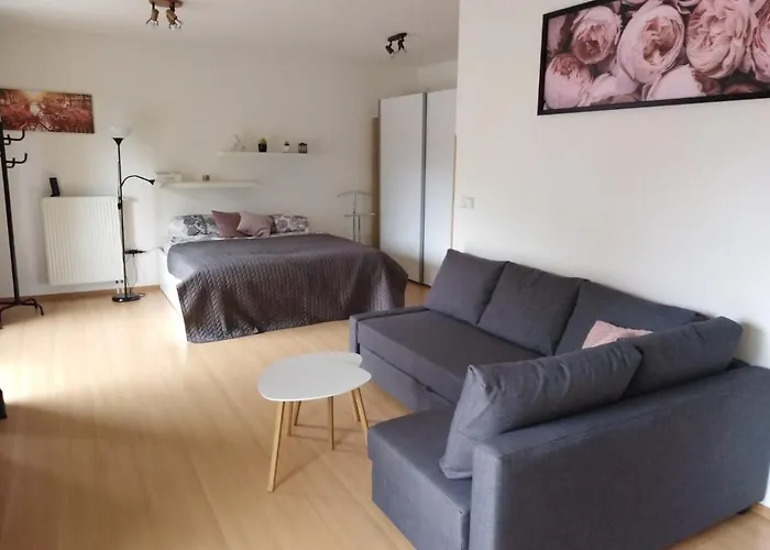 Apartment Archa Podebrady