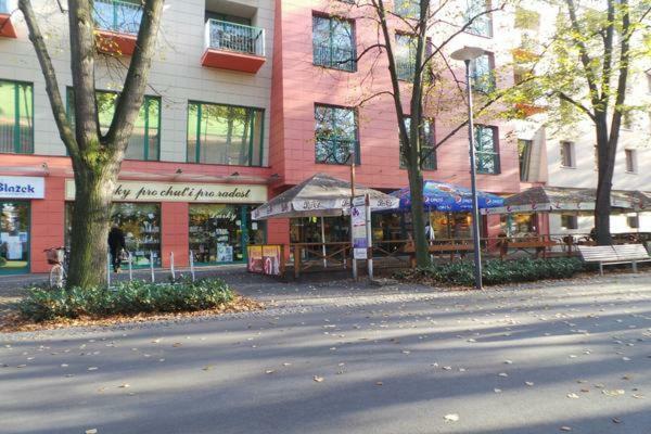 Archa Apartment